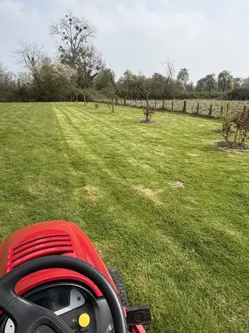 plantation arbres à Beuzeville - image 2