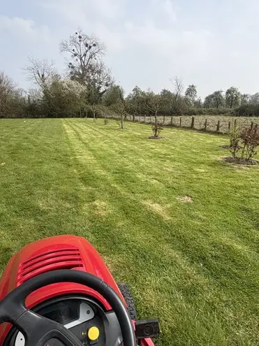 plantation arbres Dives-sur-Mer-5