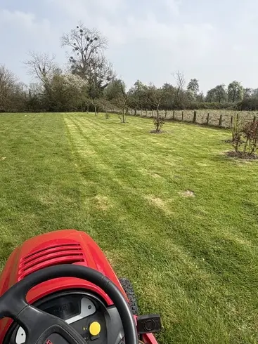 plantation arbres à Lisieux - image 4