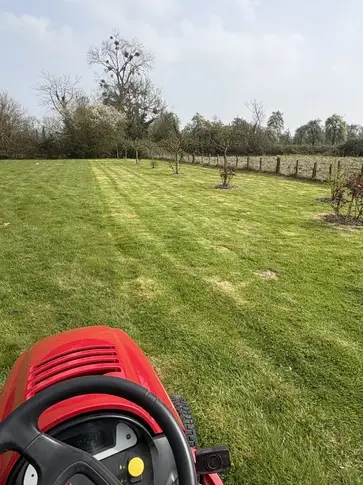 plantation arbres à Pont-l'Évêque - image 2