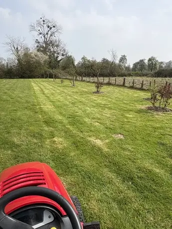 plantation arbres à Villers-sur-Mer - image 4